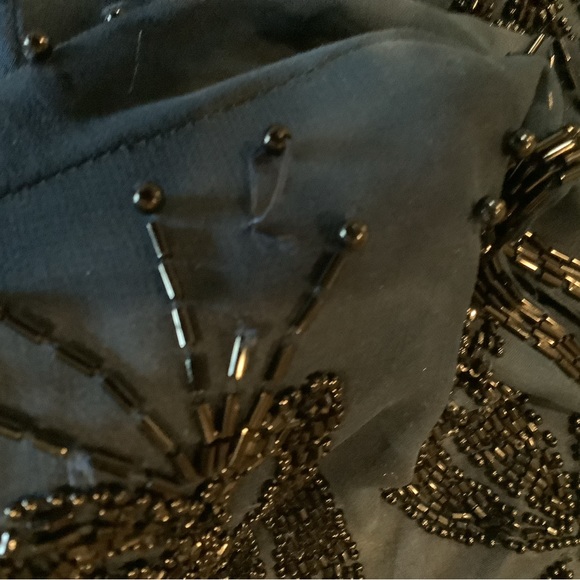 Vie by Victoria Royal Silk Beaded Dress - Picture 9 of 15